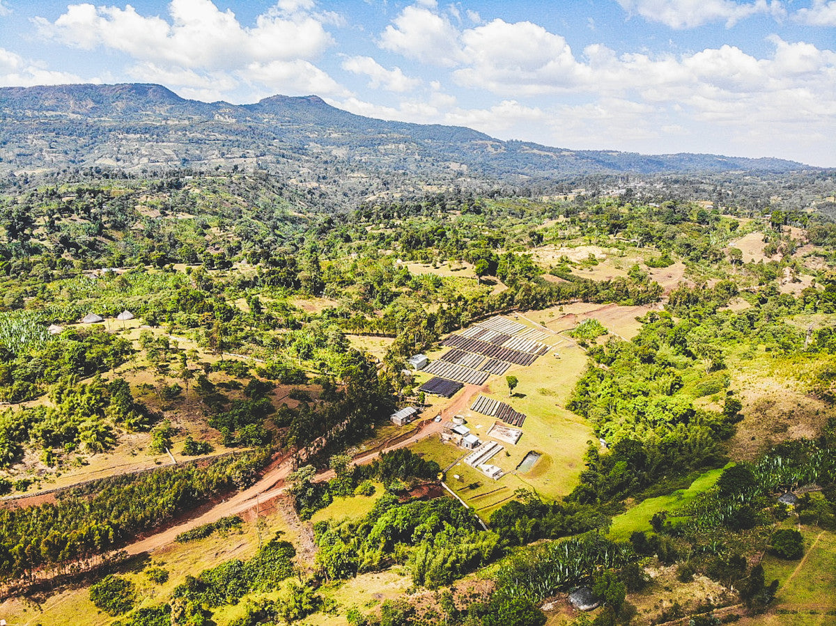 ETHIOPIA KOKE RED HONEY