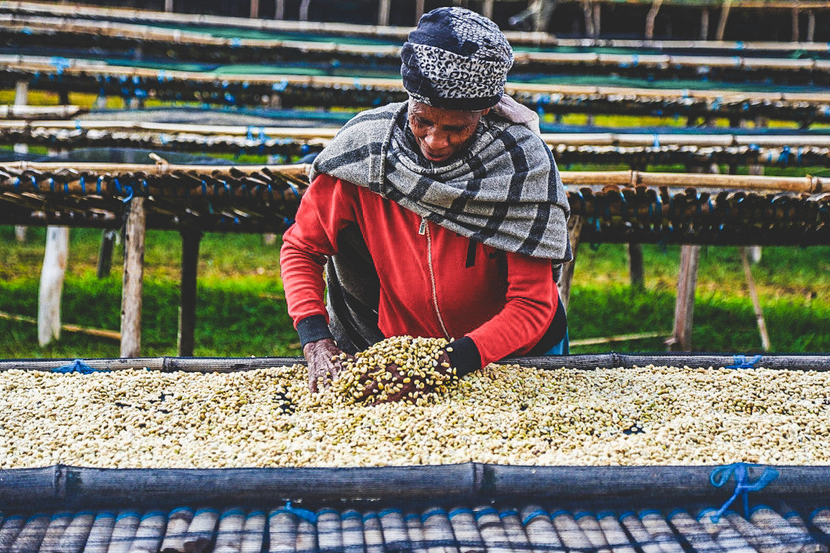 ETHIOPIA KOKE RED HONEY