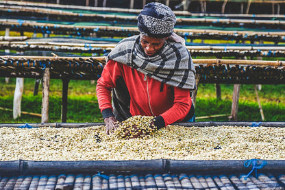 ETHIOPIA KOKE RED HONEY