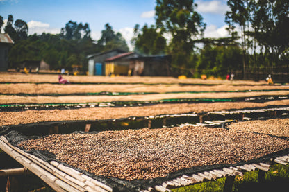 ETHIOPIA KOKE RED HONEY