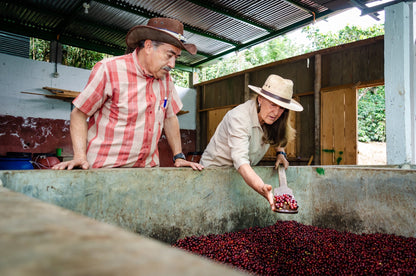 GUATEMALA FINCA LA SENDA ANAEROBIC NATURAL