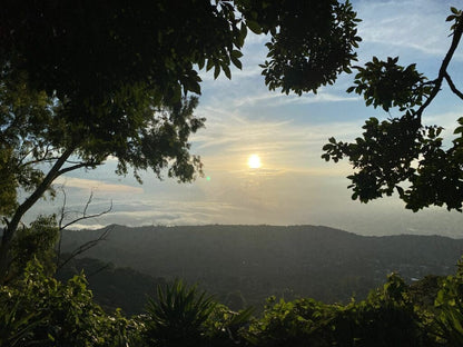 EL SALVADOR FINCA LOS PIRINEOS BLACK HONEY