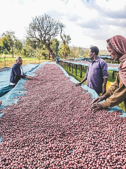ETHIOPIA DANCHE STATION NATURAL