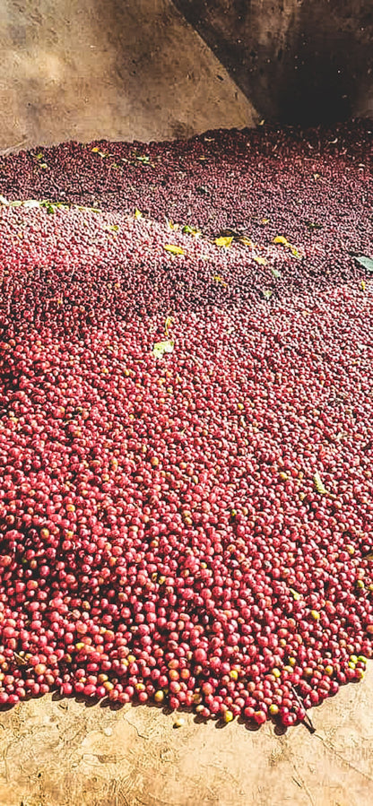 ETHIOPIA DANCHE STATION NATURAL