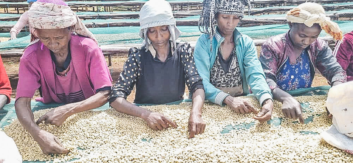 ETHIOPIA DANCHE STATION NATURAL