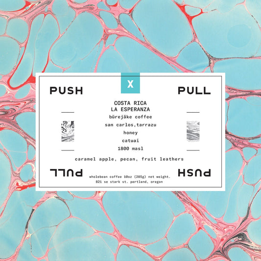 COSTA RICA LA ESPERANZA BUREJAKE HONEY