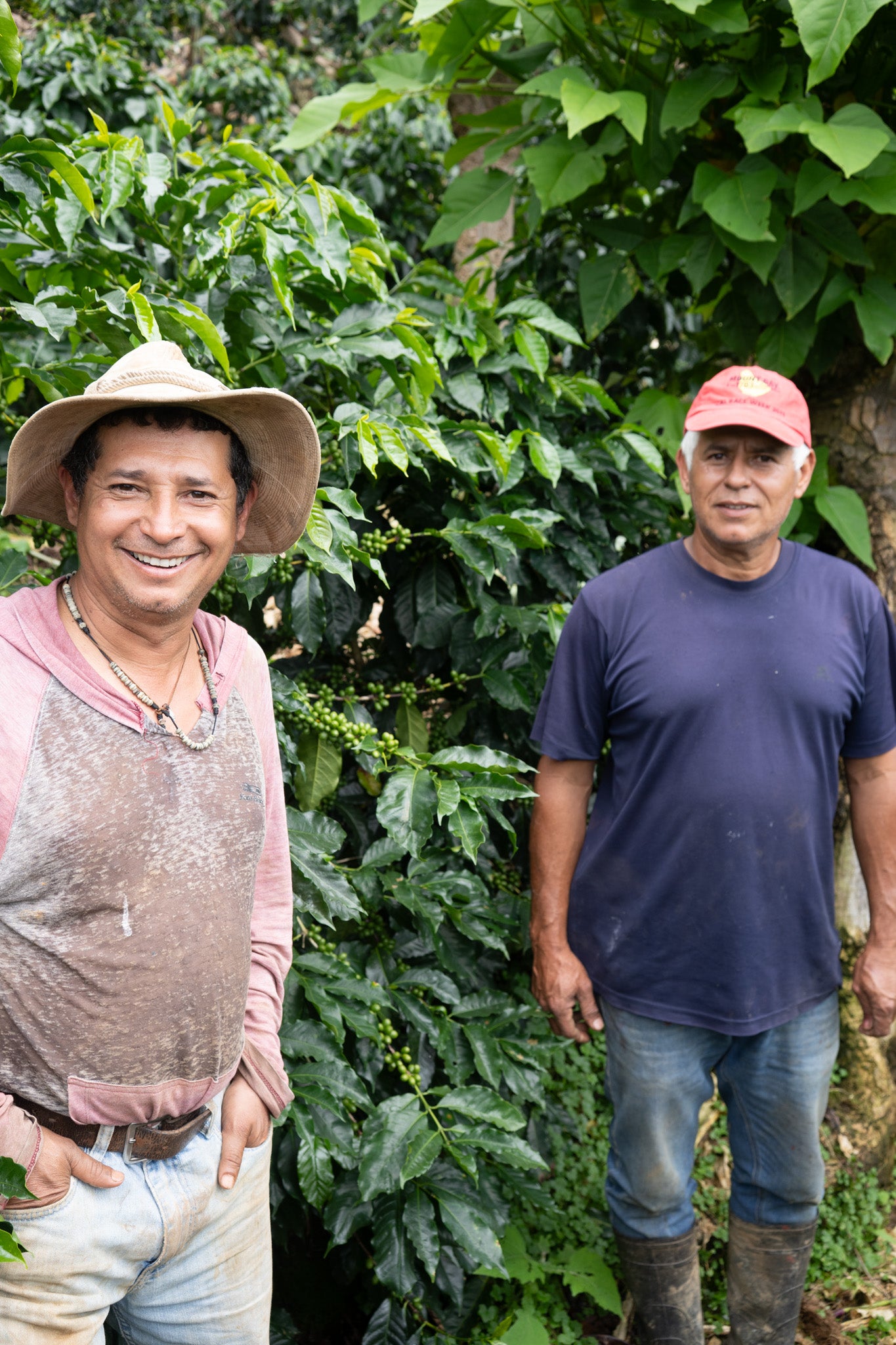 COSTA RICA HERMANOS ROBLES EL CHIRAL ANAEROBIC