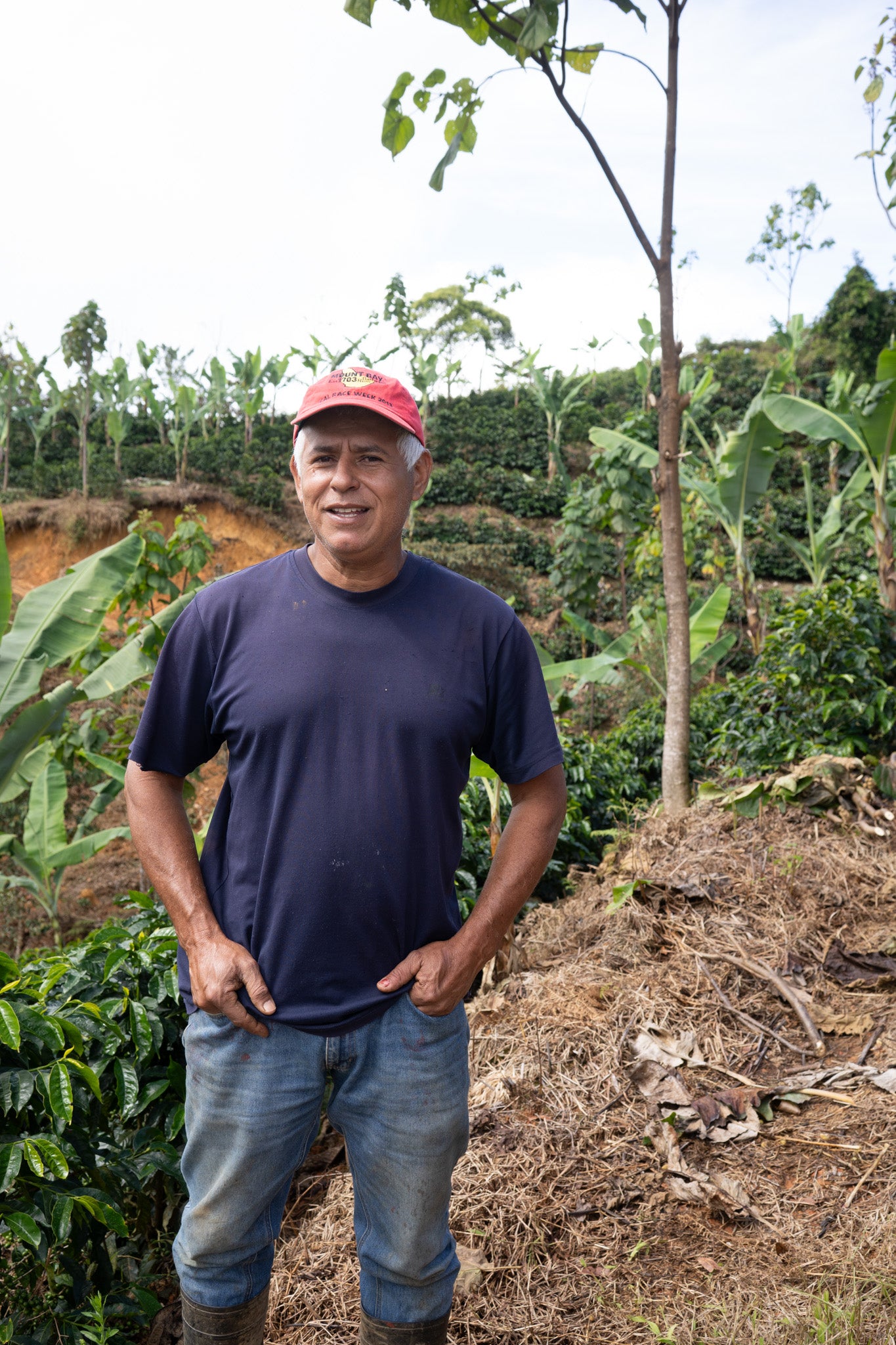 COSTA RICA HERMANOS ROBLES EL CHIRAL ANAEROBIC