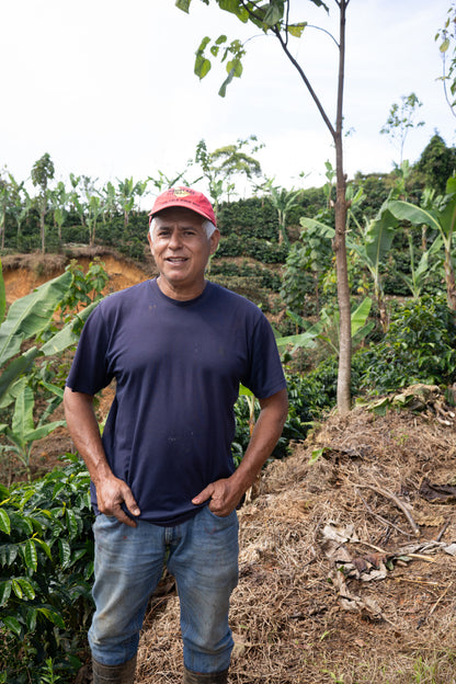 COSTA RICA HERMANOS ROBLES EL CHIRAL ANAEROBIC