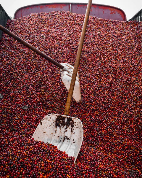 CHINA LAO XU ZHAI VILLAGE NATURAL