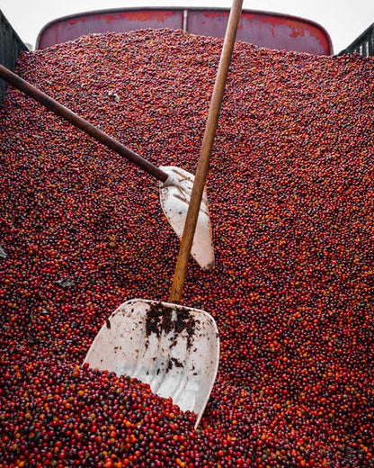 CHINA LAO XU ZHAI VILLAGE NATURAL