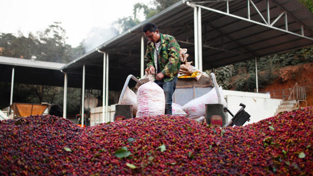 CHINA LAO XU ZHAI VILLAGE NATURAL