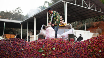 CHINA LAO XU ZHAI VILLAGE NATURAL