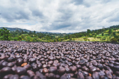 ETHIOPIA RUMUDAMO STATION NATURAL