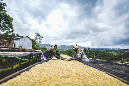 ETHIOPIA RUMUDAMO STATION NATURAL
