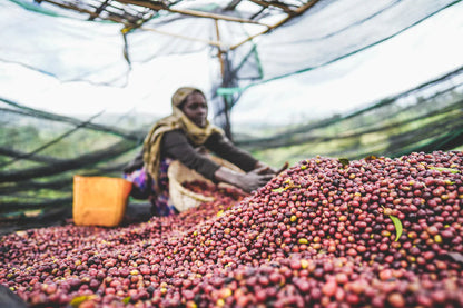 ETHIOPIA RUMUDAMO STATION NATURAL